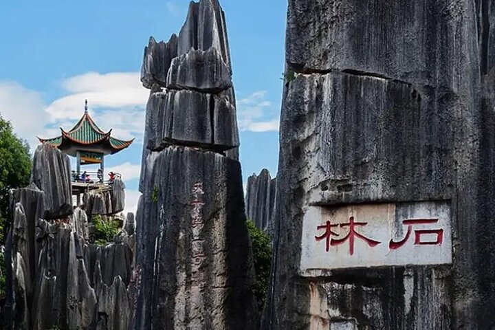 Stone Forest + Pato asado de Yiliang + Tour privado por la ciudad de Kunming