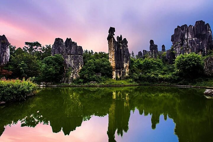 Stone Forest + Pato asado de Yiliang + Tour privado por la ciudad de Kunming