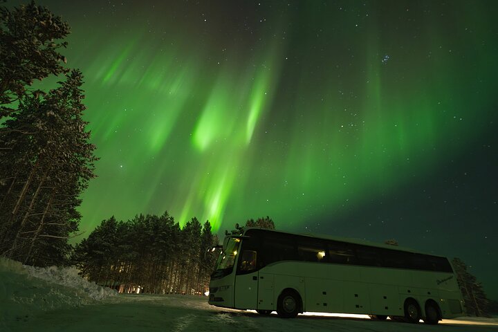 Tromsø: Aventura das luzes do norte com guias Especialistas e fotos