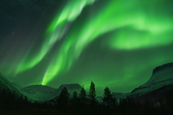 Tromsø: Aventura das luzes do norte com guias Especialistas e fotos