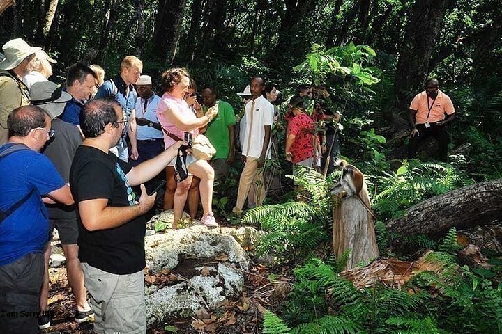 Dólares de Zanzibar, Turtle Salaam Cave & Jozani Forest