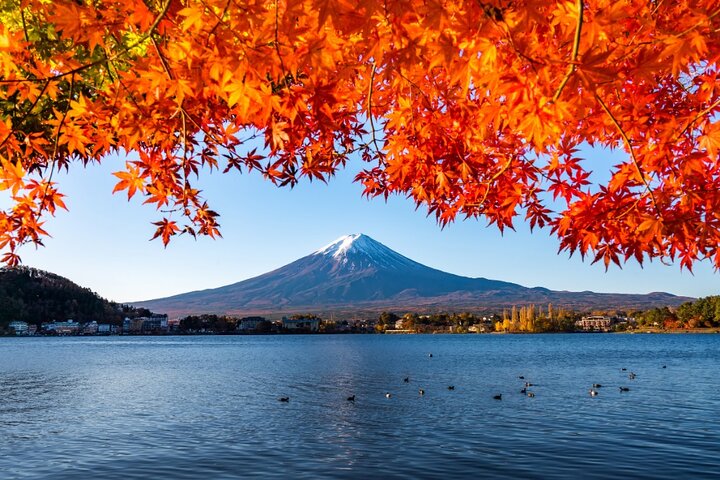 Excursão personalizada privada ao Monte Fuji com Guia local de língua Inglês