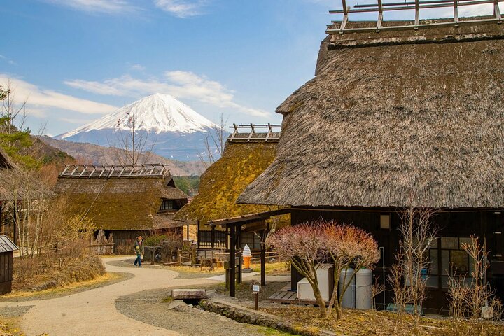 Excursão personalizada privada ao Monte Fuji com Guia local de língua Inglês