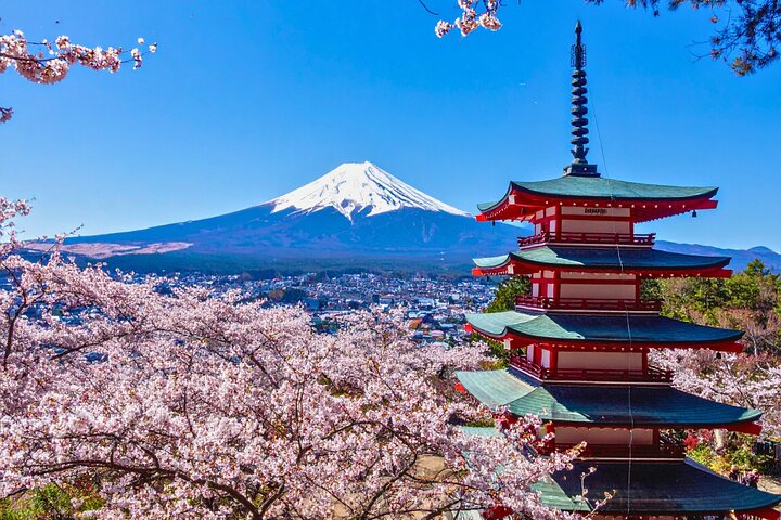 Excursão personalizada privada ao Monte Fuji com Guia local de língua Inglês