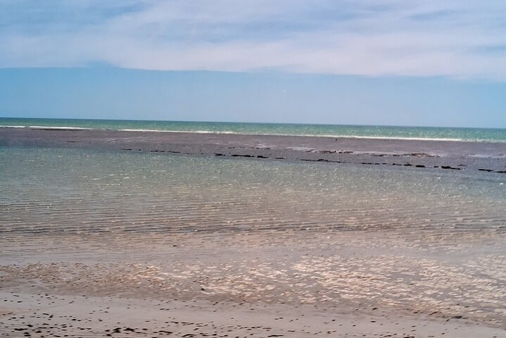 Excursão histórica Porto Seguro em Coroa Vermelha