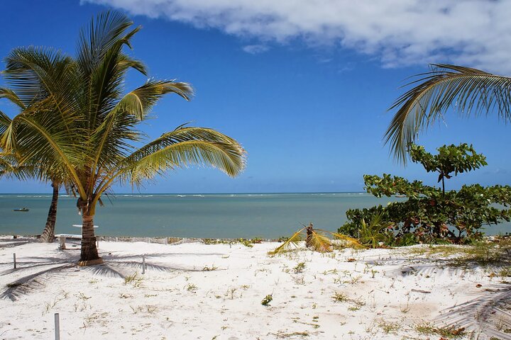 Excursão histórica Porto Seguro em Coroa Vermelha