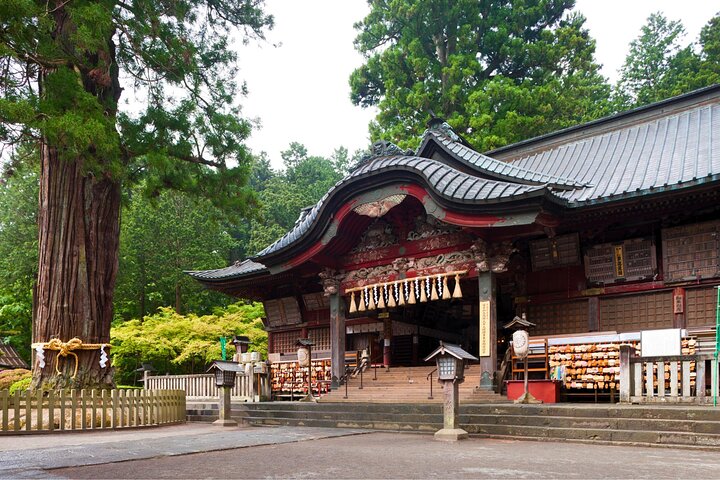 Excursão personalizada privada ao Monte Fuji com Guia local de língua Inglês