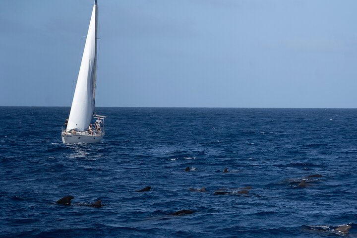 Journée complète Voilier - Belle journée sur l'Océan Atlantique
