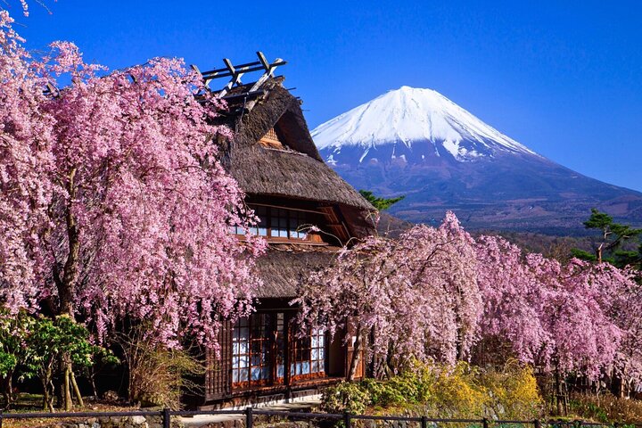 Excursão personalizada privada ao Monte Fuji com Guia local de língua Inglês