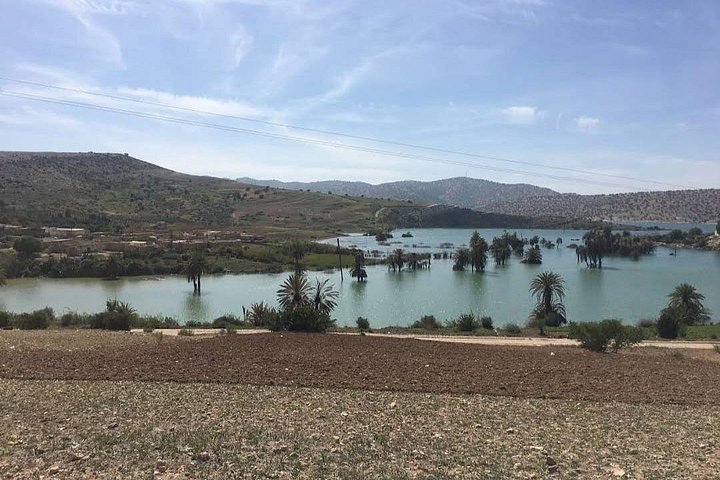 Excursión de un día: Naturaleza y desierto de Essaouira