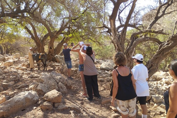 Excursión de un día: Naturaleza y desierto de Essaouira