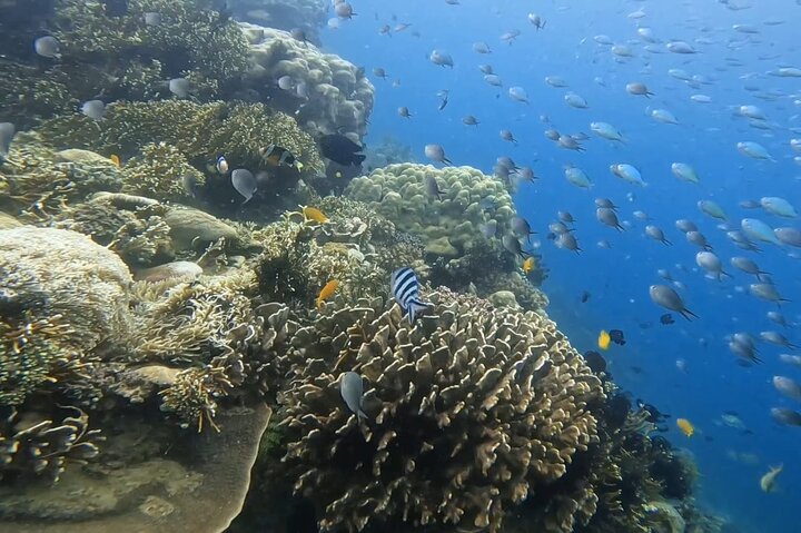 Tour privado de snorkel – Gili Kondo, Gili Bidara y Gili Kapal