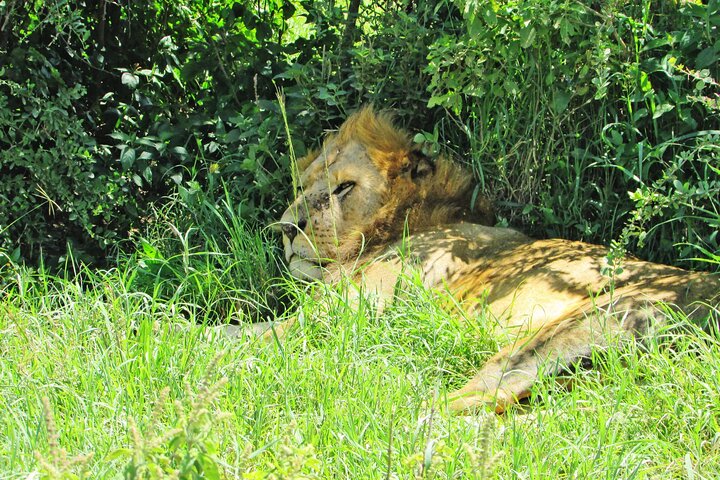 Safari di 2 giorni sulla Rift Valley per uccelli Naivasha Nakuru Baringo Bogoria