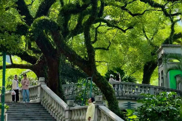 Un Día en Bicieletrica Conociendo la Cultura de lingnan