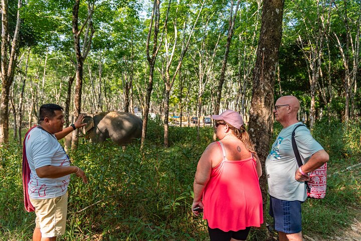 Khao Lak Elefantenschutzgebiet, Wasserfall und Schildkrötenschutz