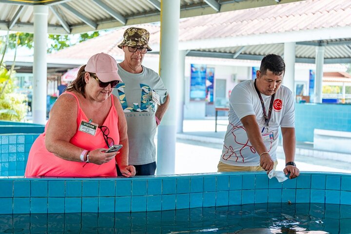 Khao Lak Elefantenschutzgebiet, Wasserfall und Schildkrötenschutz