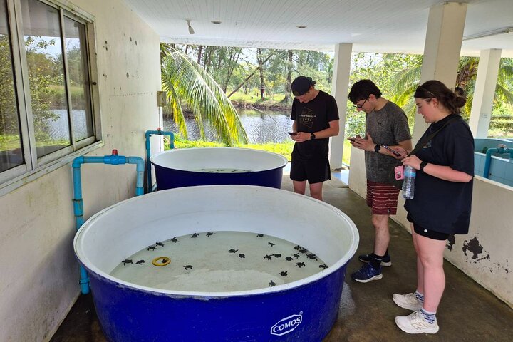 Khao Lak Elefantenschutzgebiet, Wasserfall und Schildkrötenschutz