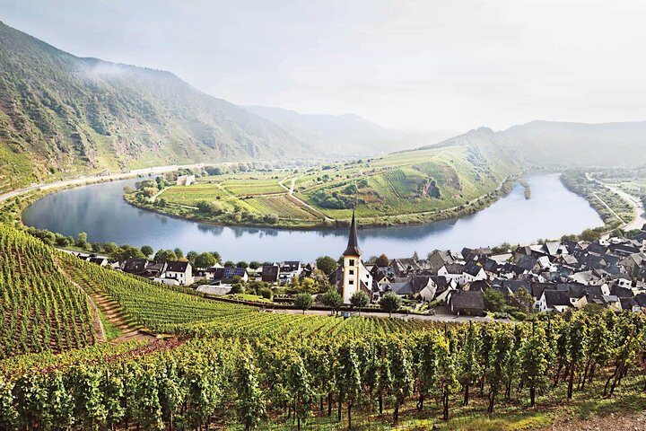 Luxembourg: Moselle Wine Tasting & Castle Private Day Tour