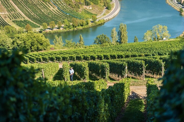 Luxembourg: Moselle Wine Tasting & Castle Private Day Tour