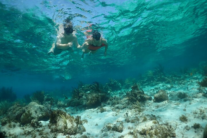 Stingray City Sandbar, Snorkel, Star Fish Beach (familiedrevet)