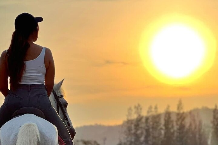 Hoteller i nærheden af Hua Hin Beach and Trail Horseback Riding Experience