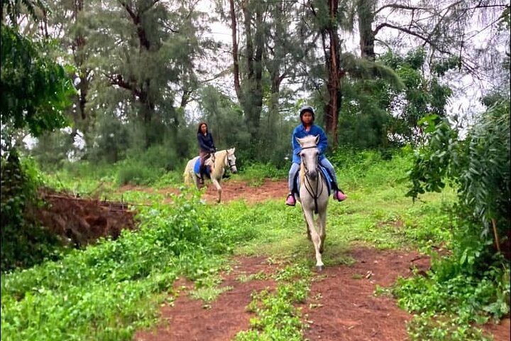Hoteller i nærheden af Hua Hin Beach and Trail Horseback Riding Experience