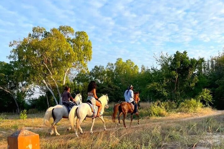 Hoteller i nærheden af Hua Hin Beach and Trail Horseback Riding Experience