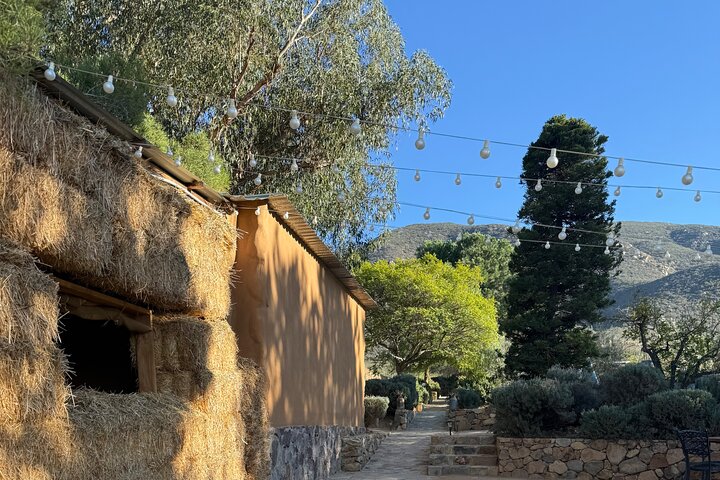 Privat Deluxe vinresa till Valle de Guadalupe med lyxfordon