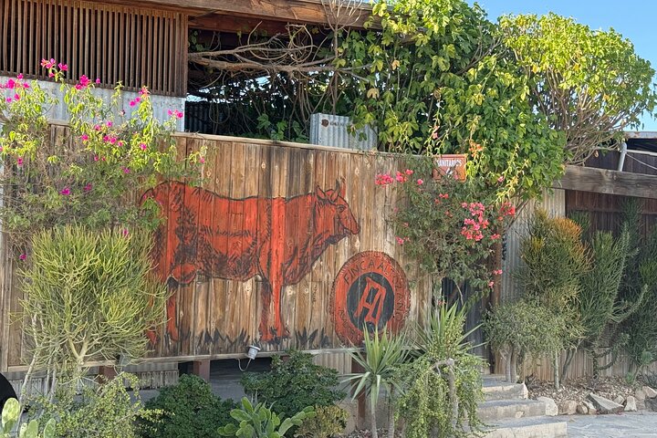 Privat Deluxe vinresa till Valle de Guadalupe med lyxfordon