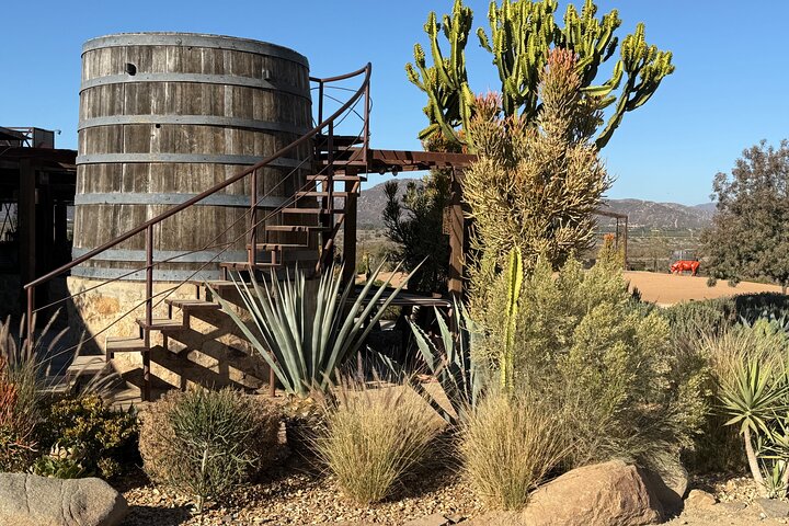 Privat Deluxe vinresa till Valle de Guadalupe med lyxfordon