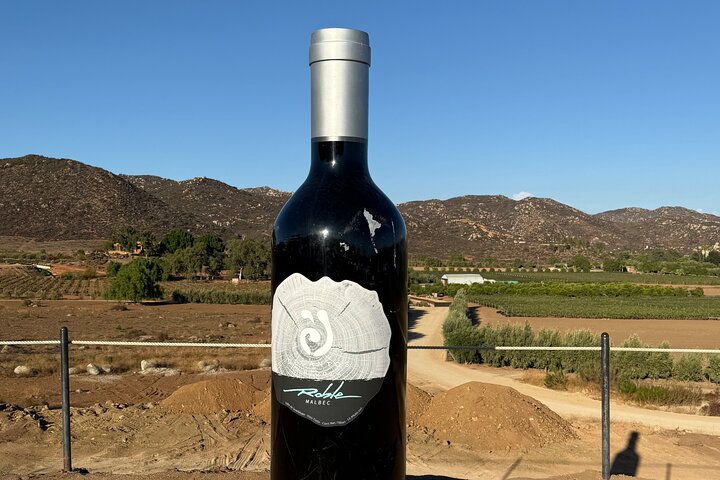 Privat Deluxe vinresa till Valle de Guadalupe med lyxfordon