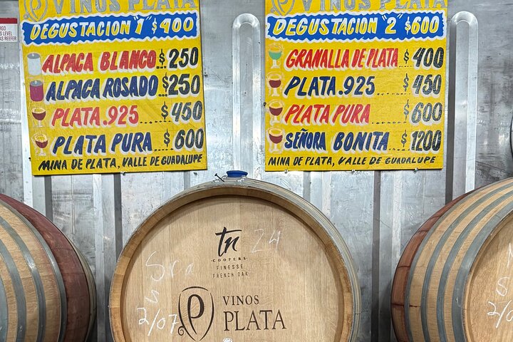 Privat Deluxe vinresa till Valle de Guadalupe med lyxfordon