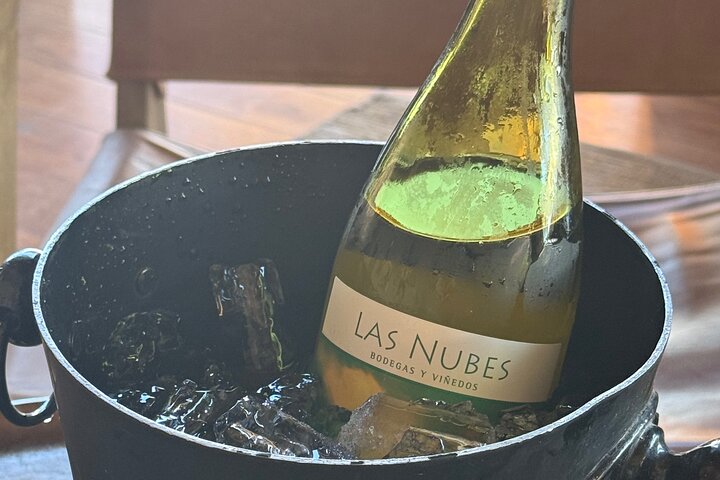 Privat Deluxe vinresa till Valle de Guadalupe med lyxfordon