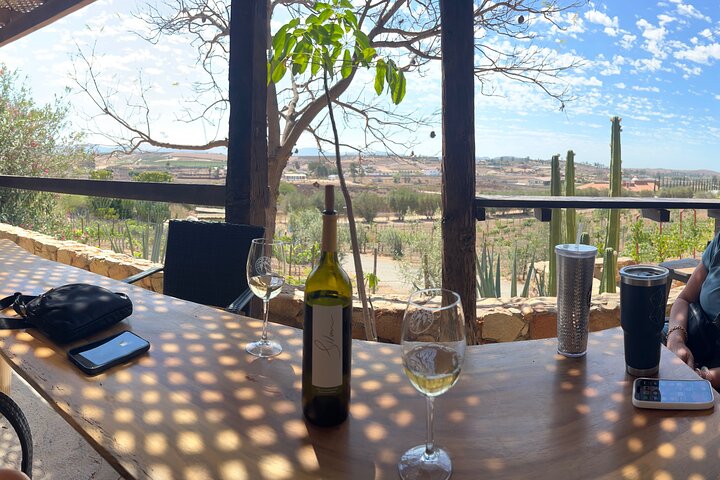 Privat Deluxe vinresa till Valle de Guadalupe med lyxfordon