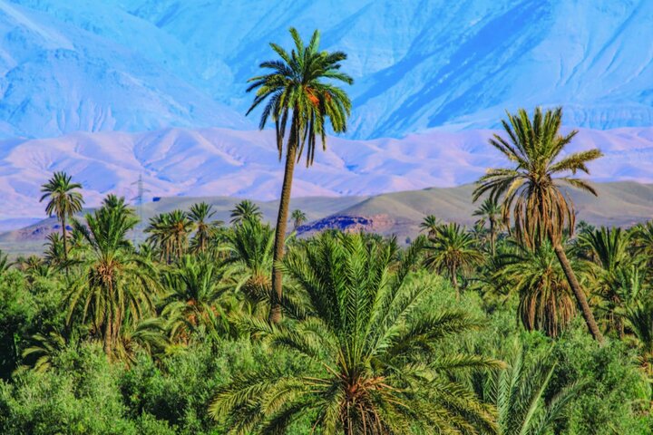 Tour de 2 días por el desierto de Marrakech con paseo en camello y campamento
