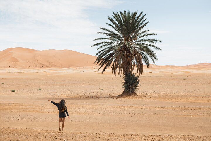Tour de 2 días por el desierto de Marrakech con paseo en camello y campamento