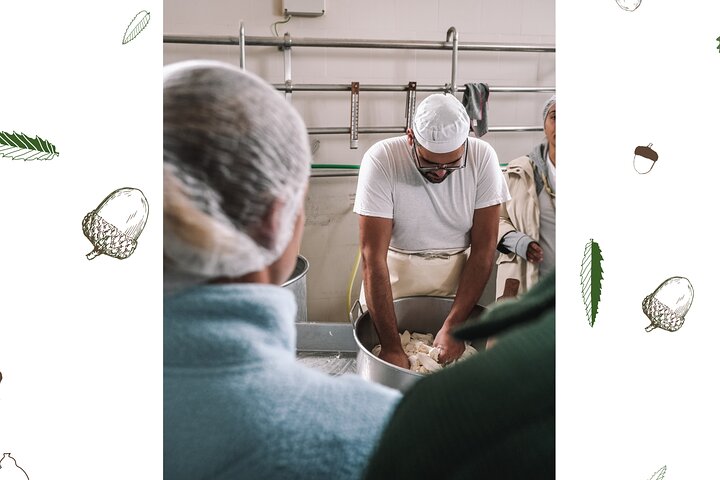 Experiencia Mozzarella - Tour con degustaciones de queso en Masseria Fragnite