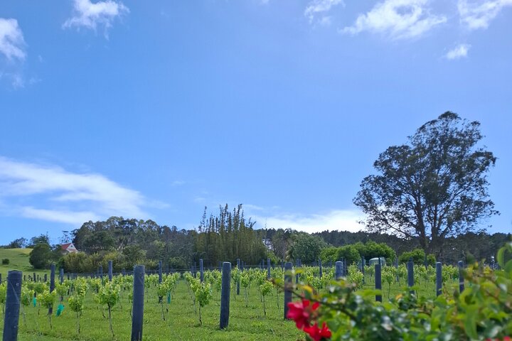 Hoteller i nærheten av Waiheke Best Cellar Tour (11 guests max)