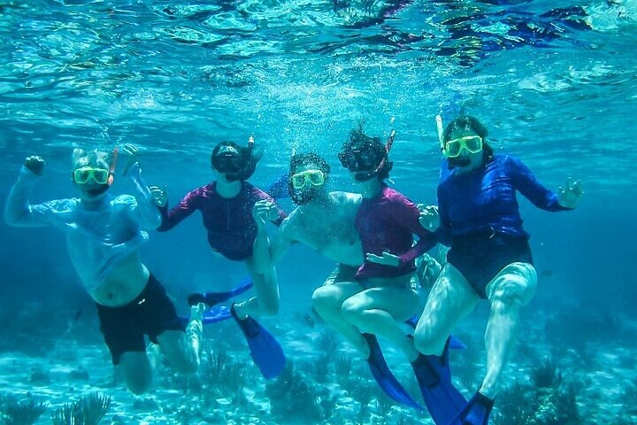 4 Stops Tour: Stingray, Snorkeling, Starfish & 7 Mile Beach