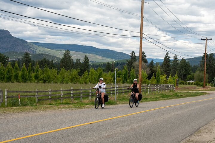 Visite du vin de Kelowna en vélo électrique avec dégustations, déjeuner et vue sur l'Okanagan