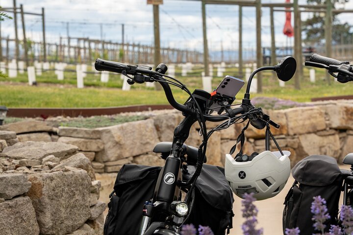 Visite du vin de Kelowna en vélo électrique avec dégustations, déjeuner et vue sur l'Okanagan
