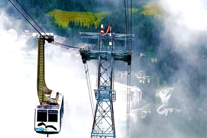 Traslado en crucero de Whittier a Anchorage con vida silvestre y tranvía