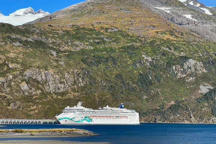 Traslado en crucero de Whittier a Anchorage con vida silvestre y tranvía