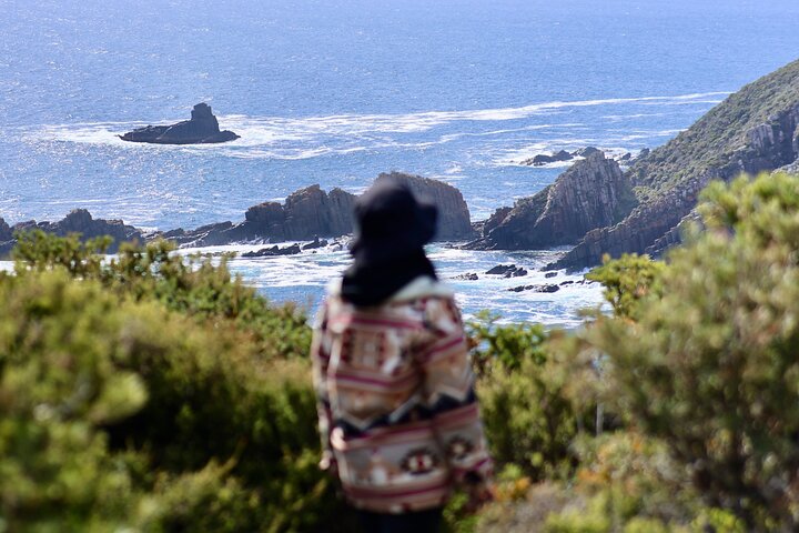 Les anmeldelser av Bruny Island - Wild Escapes from Hobart