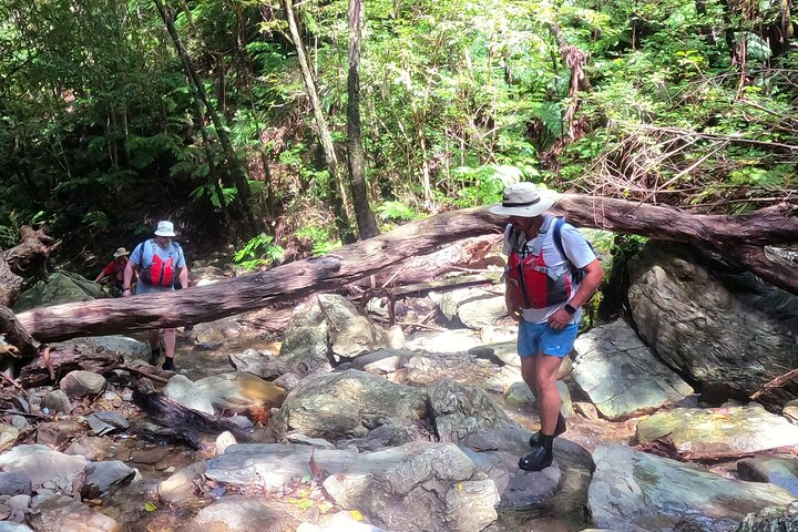 Okinawa Jungle Trails & Watervallen – Privétour door Yanbaru