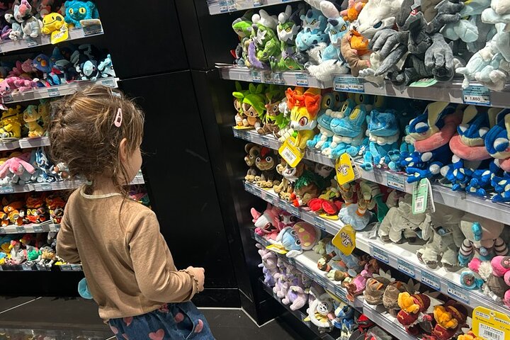 Visite privée personnalisée de Tokyo – Explorez votre chemin en 1 jour