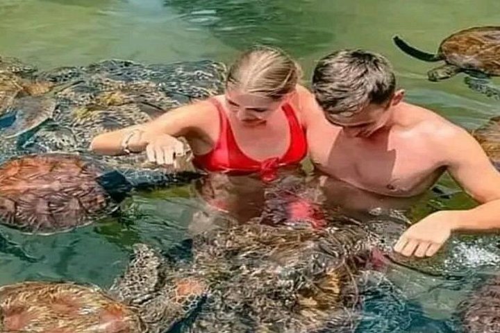 Zanzibar Salaam Cave Natação e Alimentação de Tartaruga do Mar em Kizimkazi