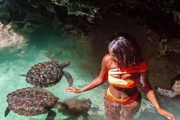 Zanzibar Salaam Cave Natação e Alimentação de Tartaruga do Mar em Kizimkazi