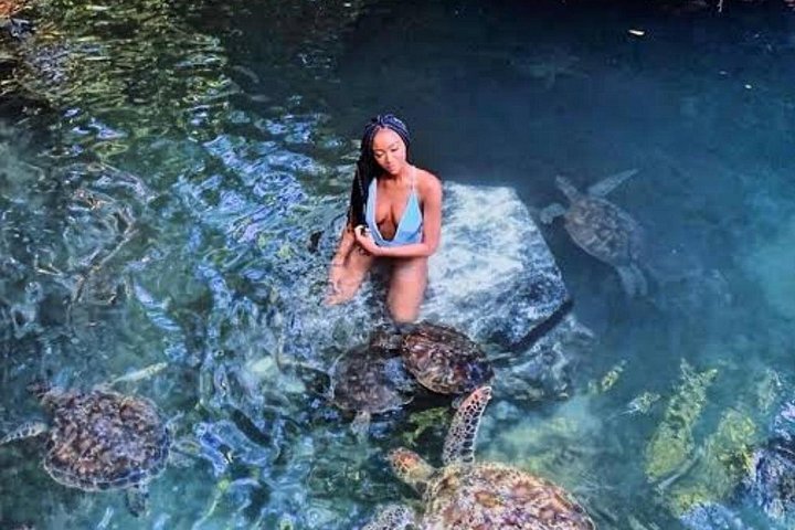 Zanzibar Salaam Cave Natação e Alimentação de Tartaruga do Mar em Kizimkazi