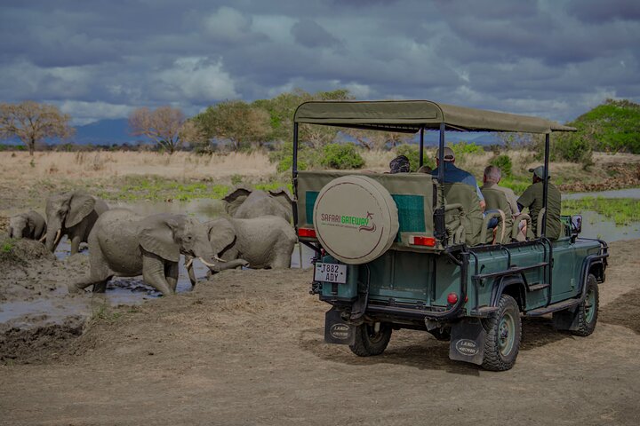 Mikumi Safari Tour: vol aller-retour d'une journée depuis Zanzibar